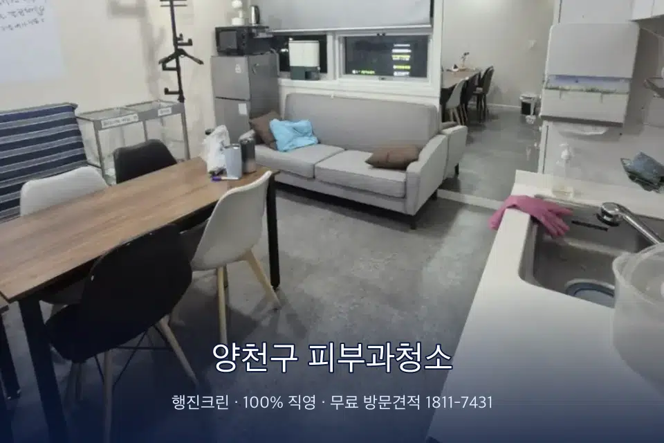 양천구 피부과청소 병원 휴게 공간 의자 소독