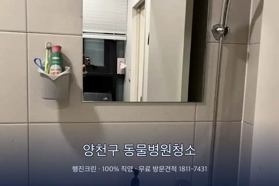 양천구 동물병원청소 병원 화장실 세면대 살균