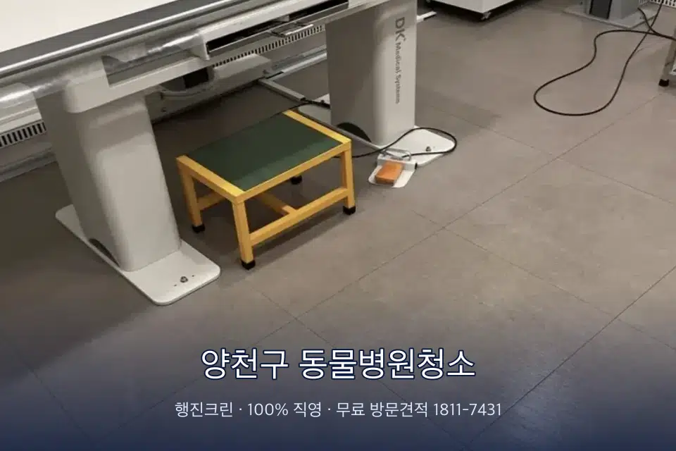 양천구 동물병원청소 영상의학실 바닥 물걸레 작업